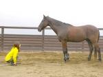 「ヒヒーン！」医療機関で馬のいななきのサムネイル画像